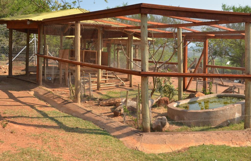 Ebundu Lodge White River Ngoại thất bức ảnh